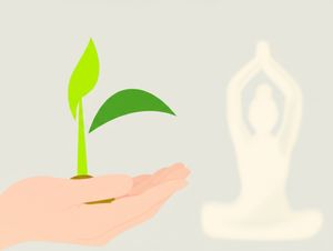 Tiny sprout growing from a hand, symbolizing small habits leading to big health.